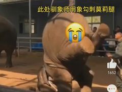 -昆明动物园
