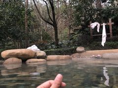 -天目湖涵田半山温泉