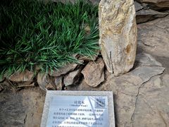-中国第四纪冰川遗迹陈列馆