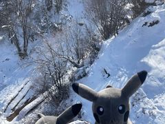 -太子岭滑雪场