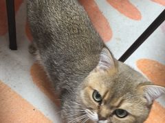 -天宠宠物医院24小时·急重症诊疗中心·全科·腔镜特色(和平分院)