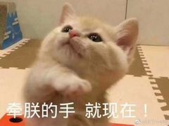 -鼎泰丰(渔阳店)