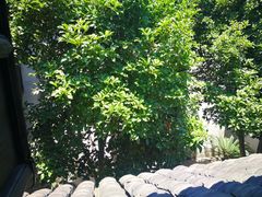 -西塘古镇-倪宅
