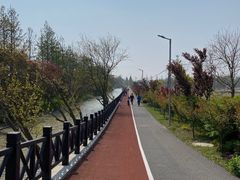 -上海长兴岛郊野公园