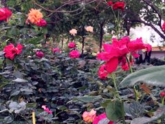 -长辛店二七公园