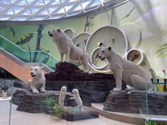 -陕西自然博物馆