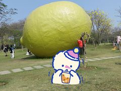 -顺峰山公园