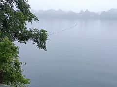 -西湖外事游船(花港观鱼码头)