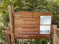 游乐设施-华侨城湿地公园