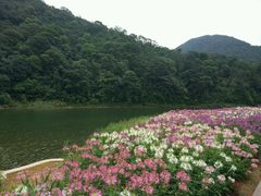 -广州市石门国家森林公园