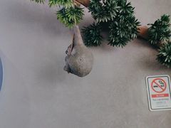 -如轩·海鲜砂锅粥·潮汕菜(沿江东路店)