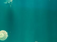 -福州罗源湾海洋世界旅游区