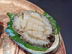 新西兰黑金鲍-澜棠海鲜(余姚阳明古镇店)