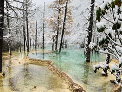 -黄龙山原始森林景区