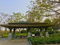 -白塘生态植物园