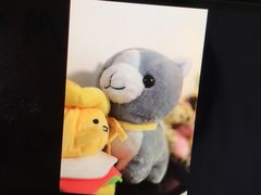 -星光摄影器材城
