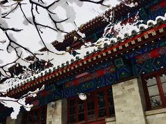 -中央民族大学