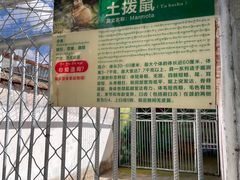 -罗布林卡