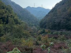 -溪口-滕头旅游景区