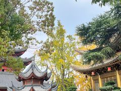 -上海东林寺(金山区)