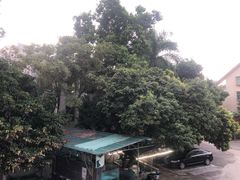 -田园山庄农家乐(石岩店)