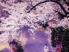 -和枫(众意路店)