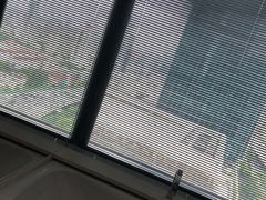 -上海璞麗酒店
