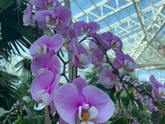 -石家庄市植物园