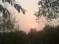 -西湖风景区-江洋畈生态公园