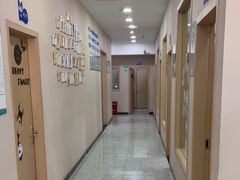 -瑞派名望24h动物医院异宠专科·猫专科·骨科·重症监护分院
