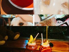 -咖法森林·咖啡  酒吧(天河店)