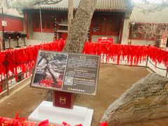 -红螺寺