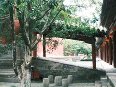 -报恩寺(平武县)