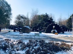 -长白岛森林公园