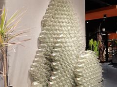 -UMe·玖觅(曲江店)