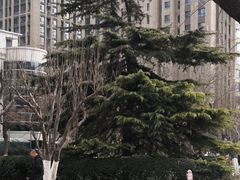 -和平区健康主题公园
