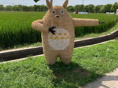 -嘉北郊野公园