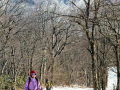 -安吉龙王山风景区