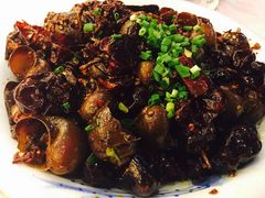 -鸿恩陶然大观园