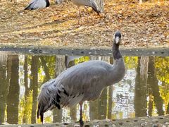 -艾溪湖湿地公园