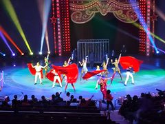 -珠海横琴长隆《卡卡虎奇遇记》