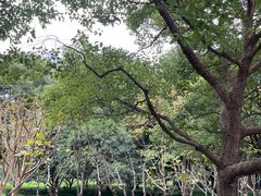 -陆家嘴中心绿地