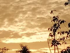 -江南大学-第一食堂(江南苑)