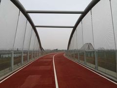 -白鹭湾湿地公园