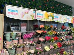 -盒马鲜生(岭南新世界店)
