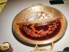 -小龙坎火锅(全球旗舰店)