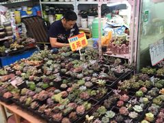 -无锡文化工艺品市场(槐古路店)