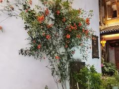 -洪江古商城