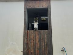 -枫露马术学院(藏书校区)