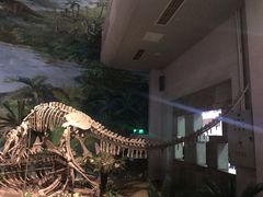-自贡恐龙博物馆